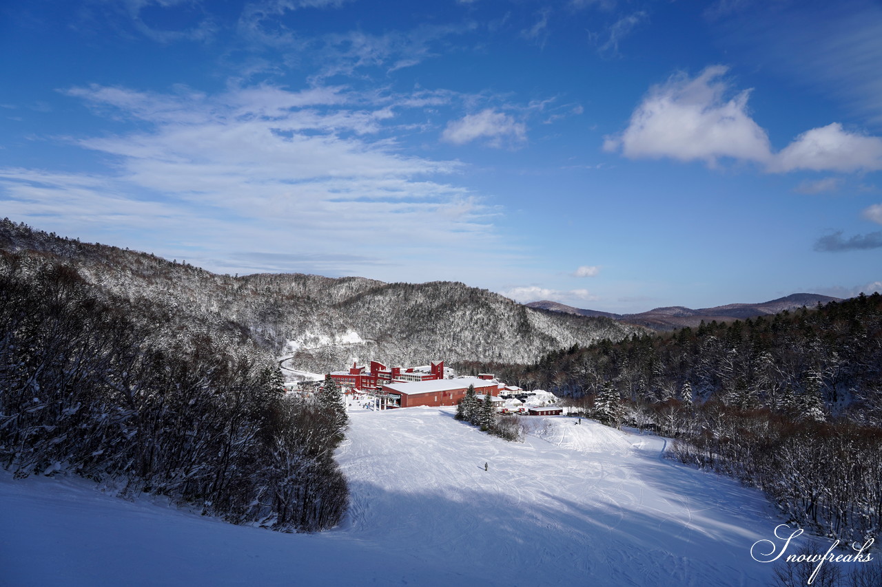 札幌国際スキー場 これぞ北海道。粉雪が降り積もったゲレンデはコンディション良好！そして、早くも全コース滑走可能です(*^^)v